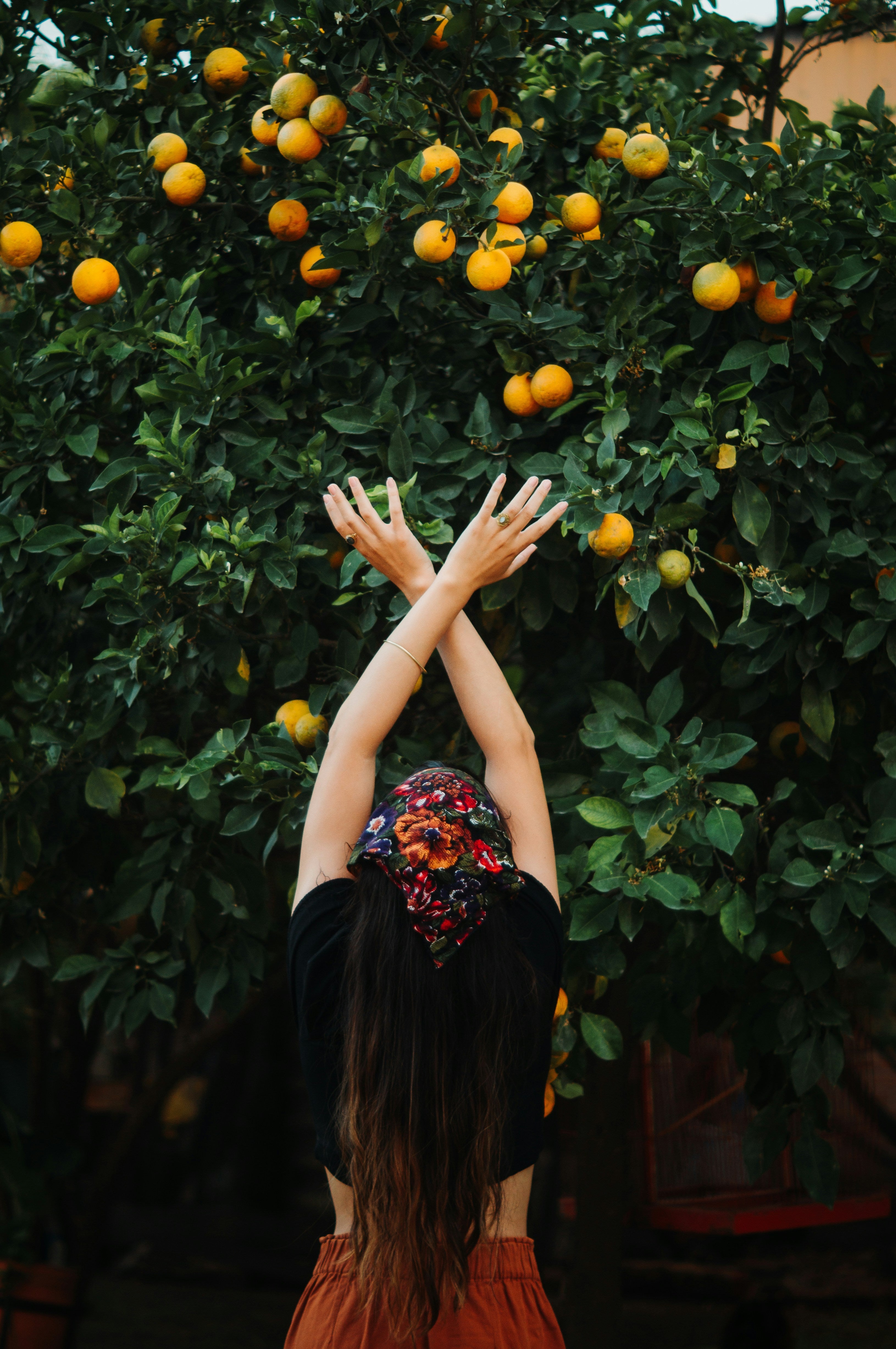 Niacinamide vs. Peptides: Which Does Your Skin Really Need?